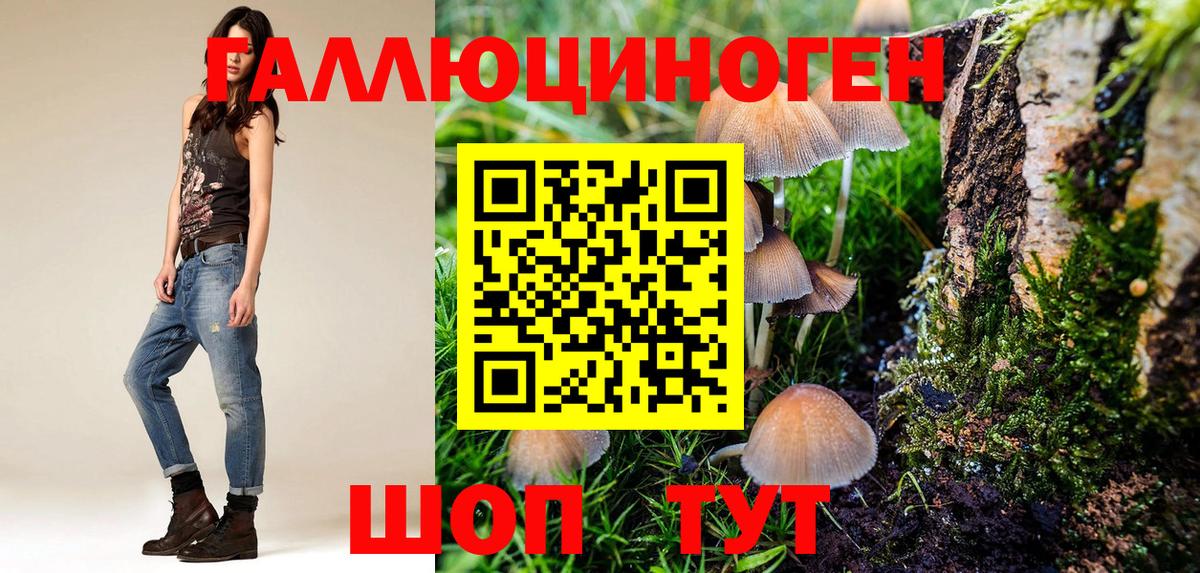 Псилоцибиновые грибы Psilocybine cubensis Амурск
